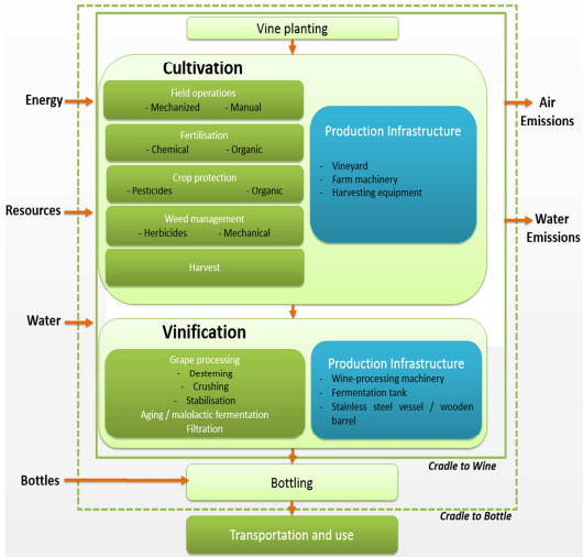 Impact of the wine production life cycle on the environment