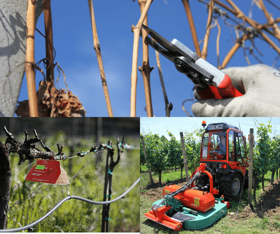 indirect and direct pest control methods