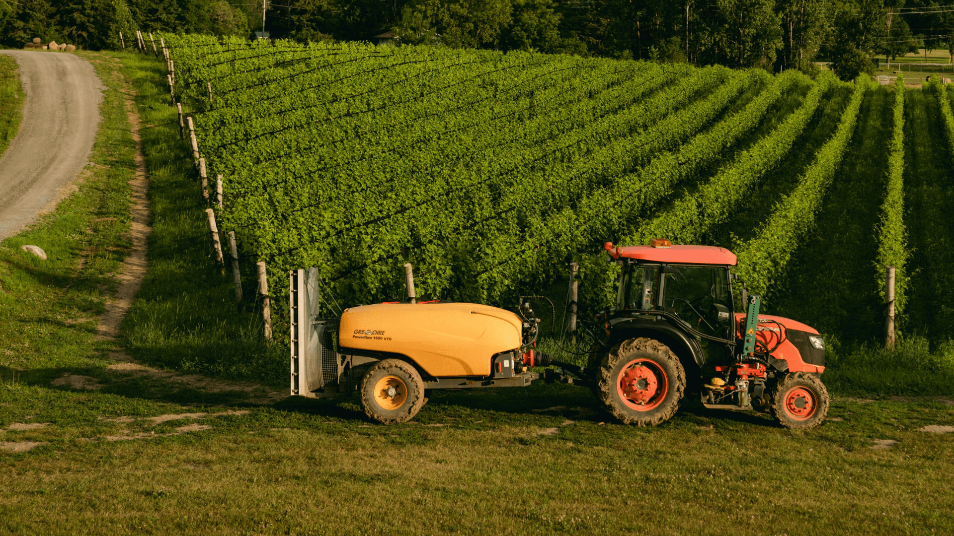 Pesticide use, and their impact on fruits