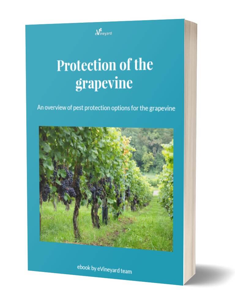 e-book: Protection of the grapevines