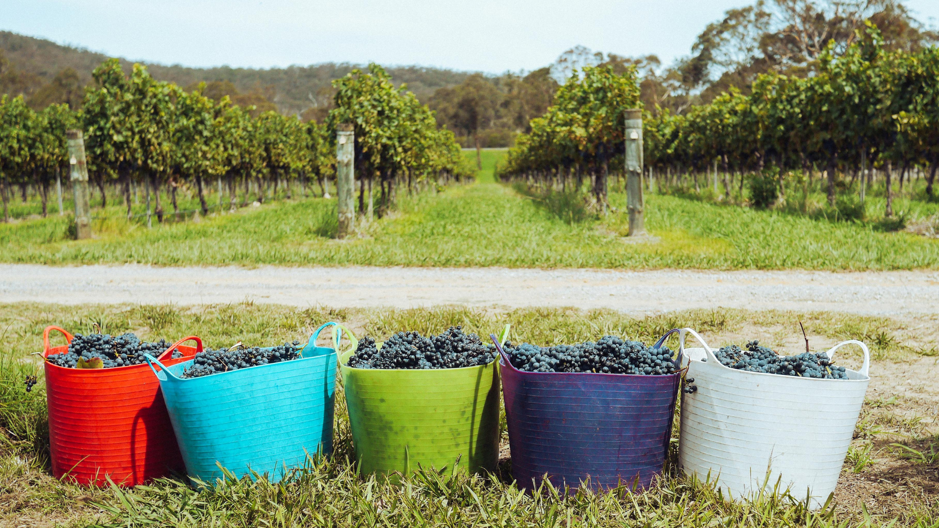 Top 5 tips to better organize the harvest