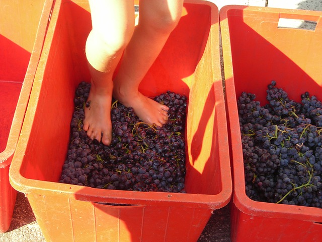 Grape pressing with feet