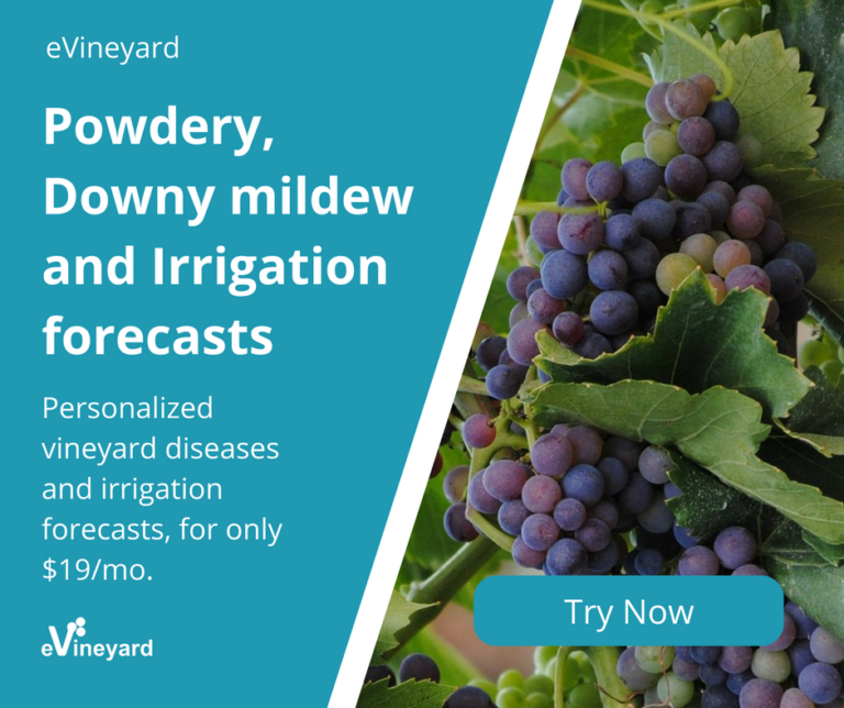 How to schedule vineyard irrigation? eVineyard blog