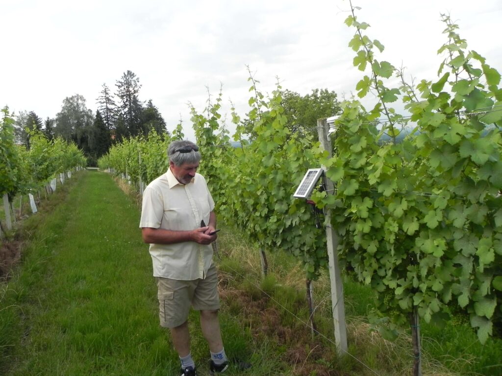 Sensor station in the vineyard a precision viticulture technology