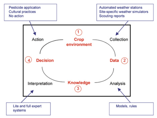 An idealized Decision Support System for plant disease management