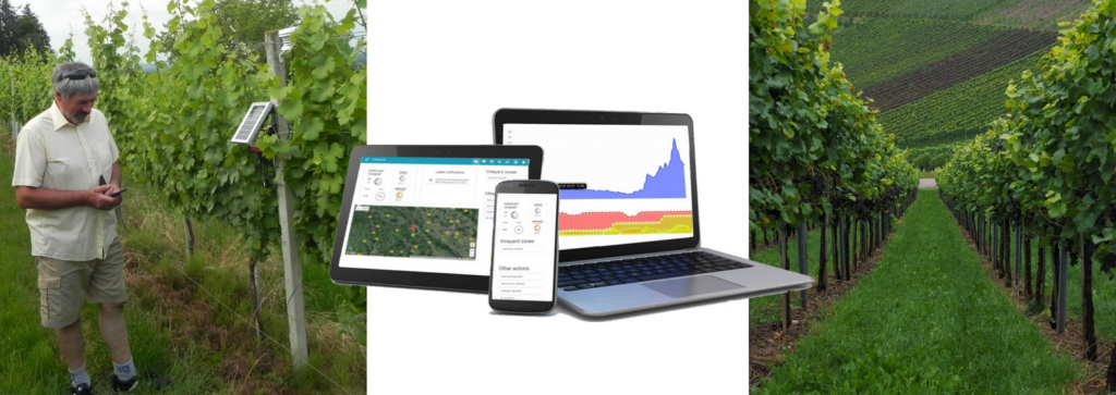 Decision support system - integrated pest management in the vineyard