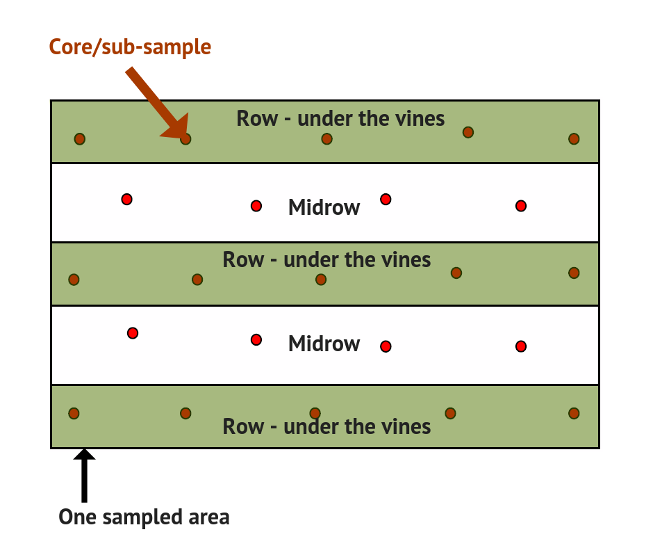 Vineyard soil sampling distribution