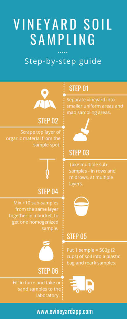 infographic-vineyards-soil-sampling-guidelines