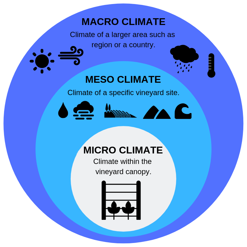 vineyard - Macro-, Meso-, and Micro- climate