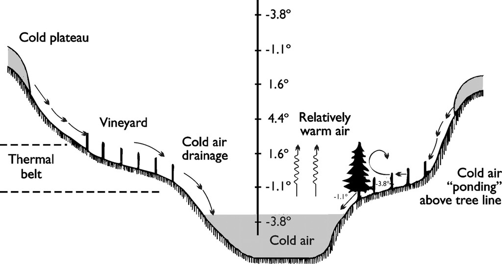 cold-air-flow-vineyard-frost