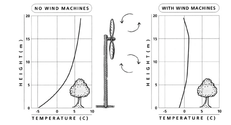 wind machines-radiation frost