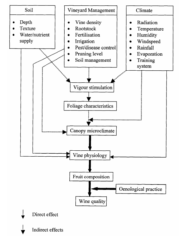 Direct and indirect effects of soil, climate, and vineyard management to fruit composition