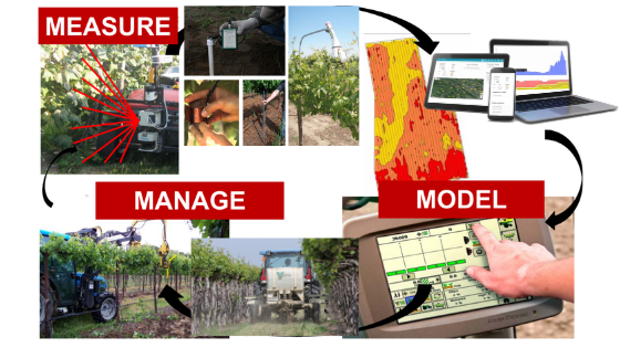 Precision viticulture technologies - help measure, model and manage vines.