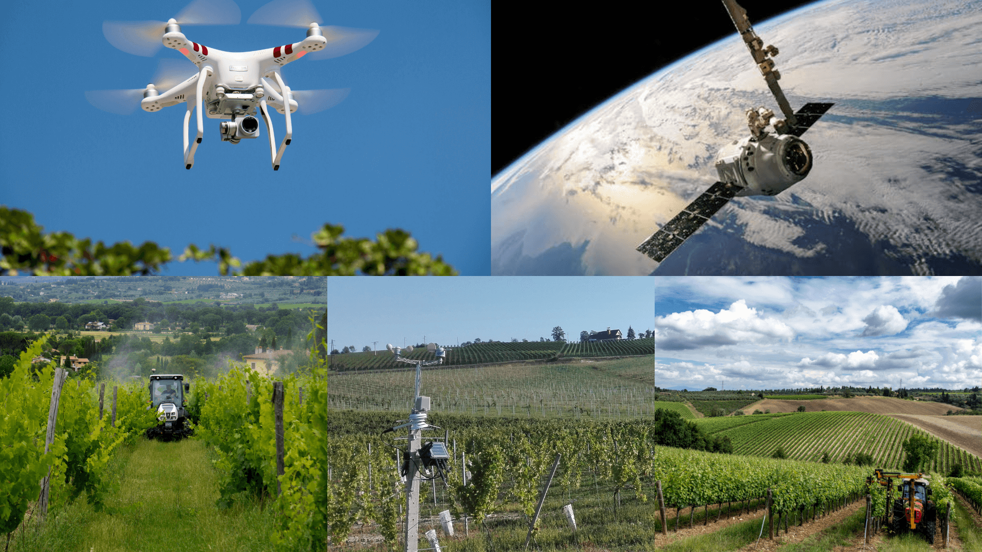 Precision viticulture technology a key to producing premium quality wines in changing climate [part 2]