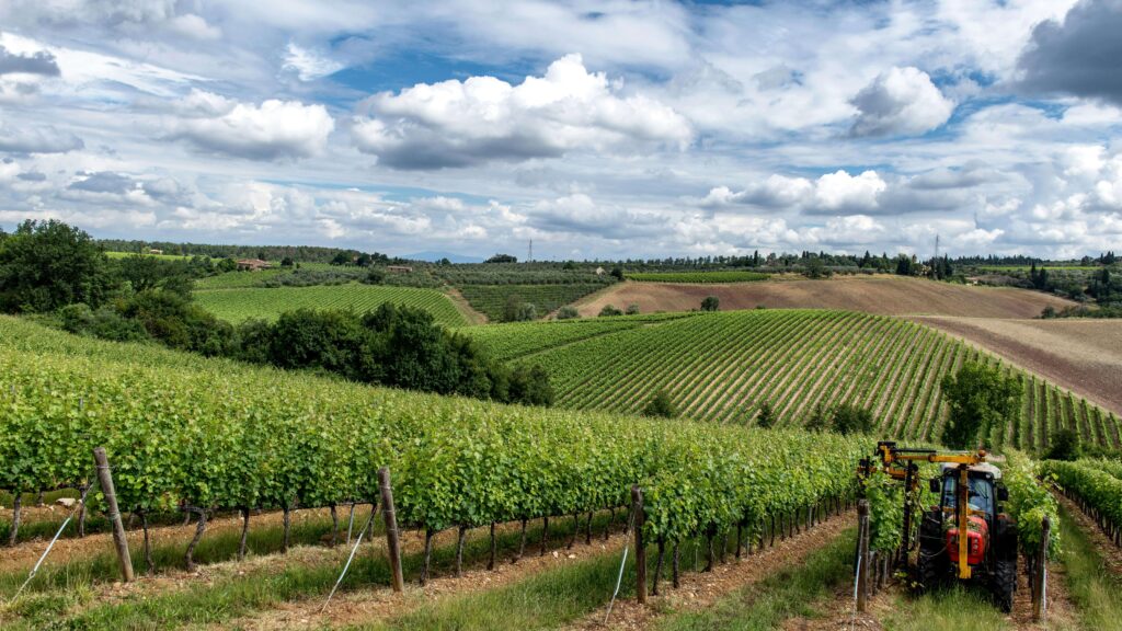 Mechanical Variable Rate Shoot Thinning in the vineyard.