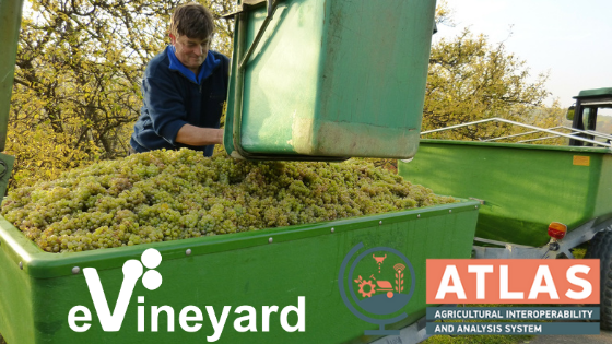 evineyard-among-top10-ag-software-solutions