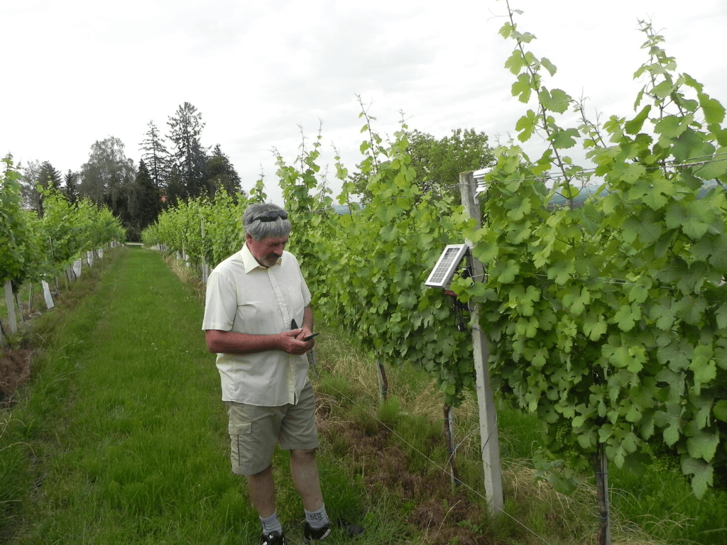 Optimize vineyard management