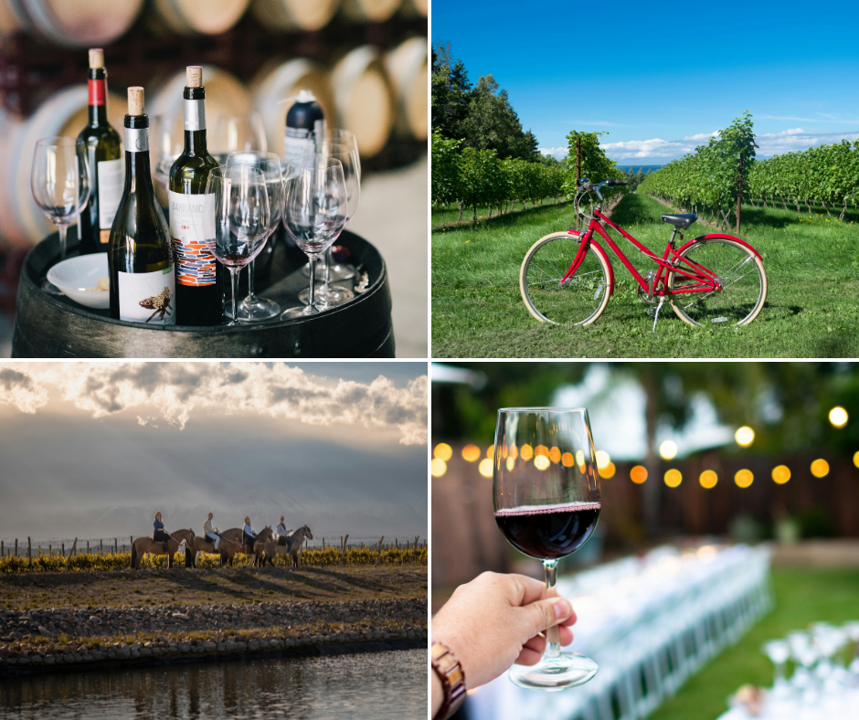 organize-winery-tours-and-events