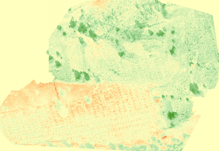 NDVI orthomosaic showing the variations of vigour across the vineyard. The image was taken during the October UAV flight. 