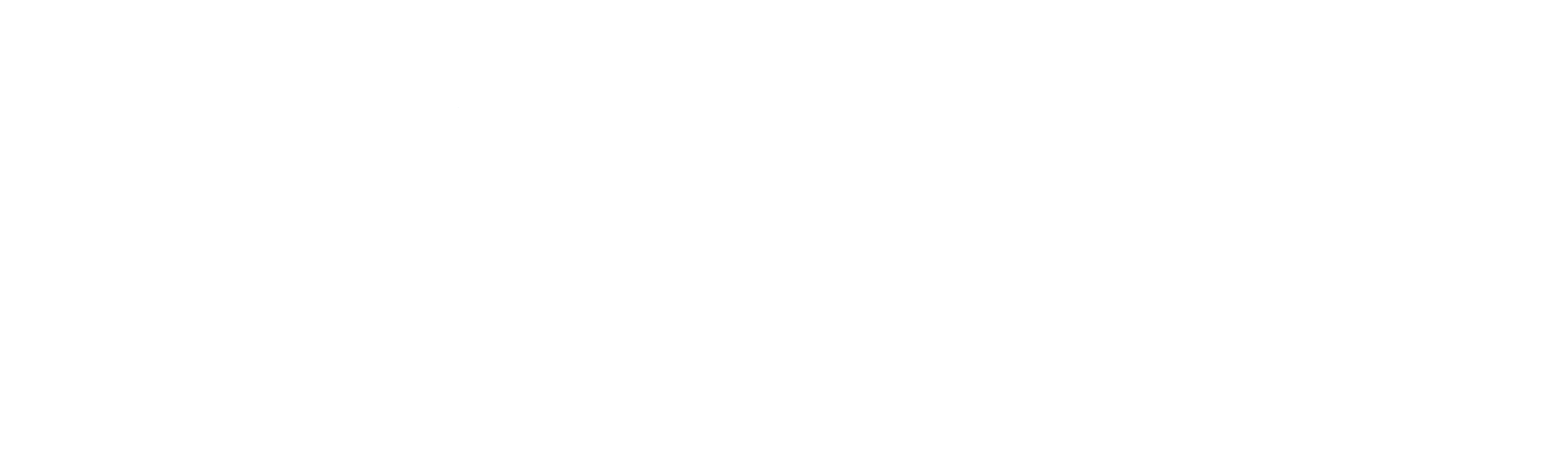 eVineyard_logo