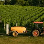 How to decide when to apply fungicides in vineyards