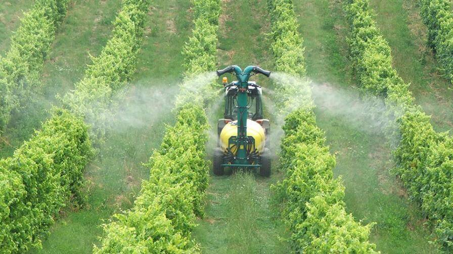 How to decide when to apply fungicides in vineyards