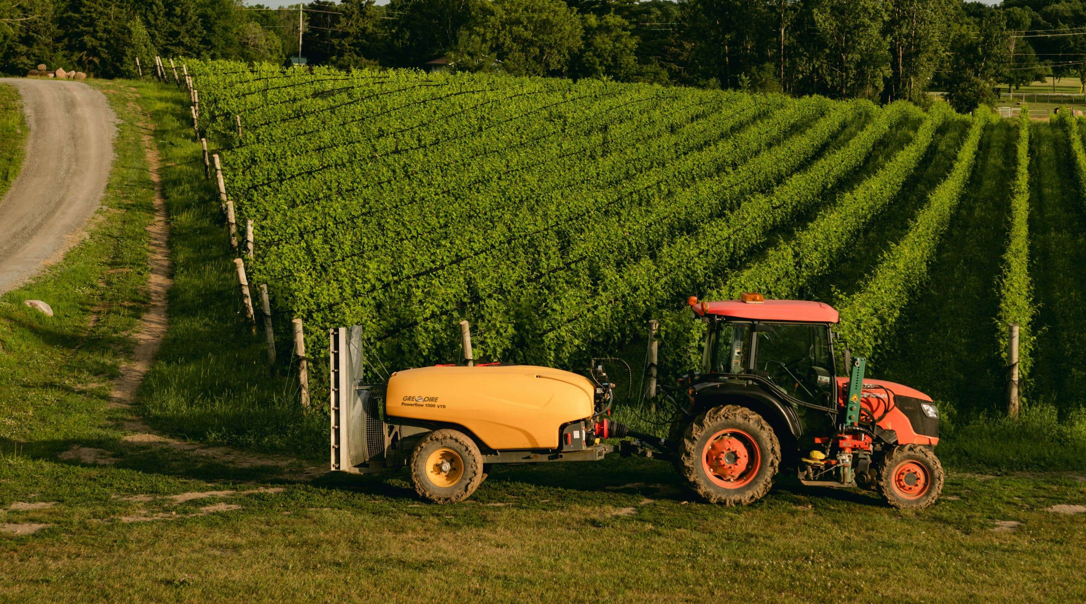 How to decide when to apply fungicides in vineyards