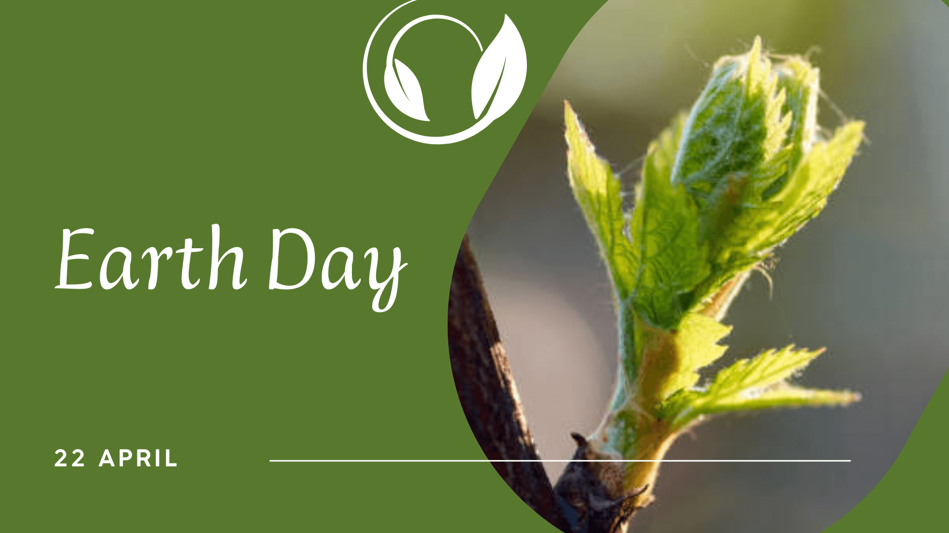 Earth Day and Viticulture