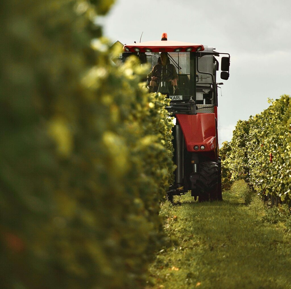 grape_harvester_in_vineyard-1