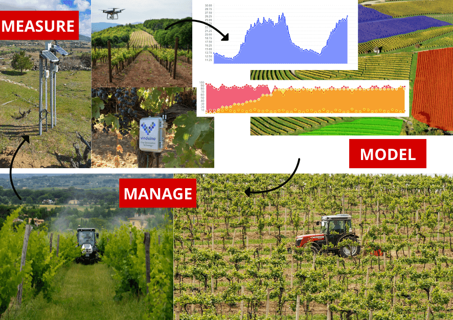precision_viticulture_circle-of-information